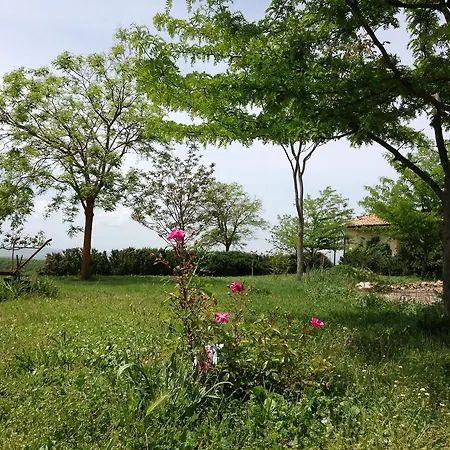 Carrera Della Regina Banzi