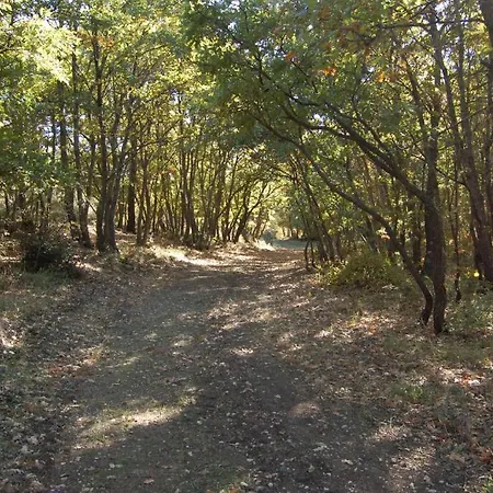 Carrera Della Regina * Banzi