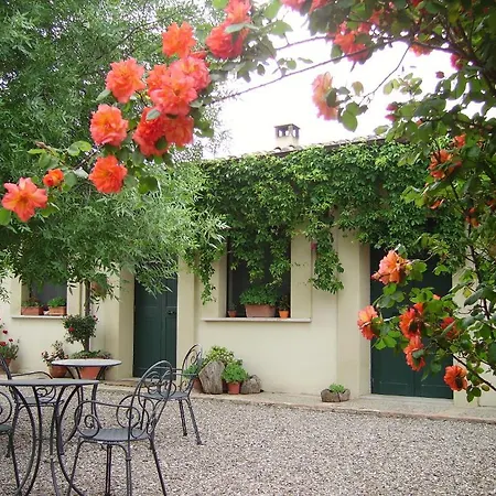 Carrera Della Regina