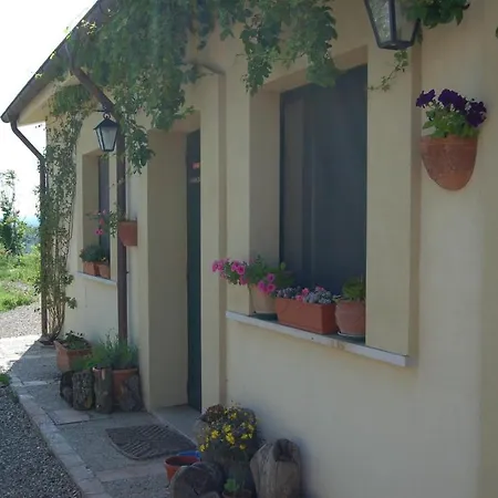 Carrera Della Regina * Banzi