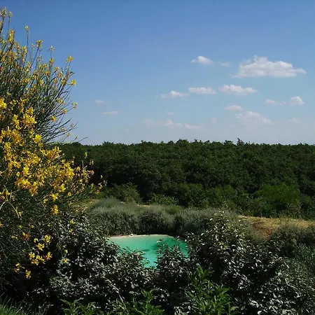 Carrera Della Regina Çiftlik konaklama Banzi