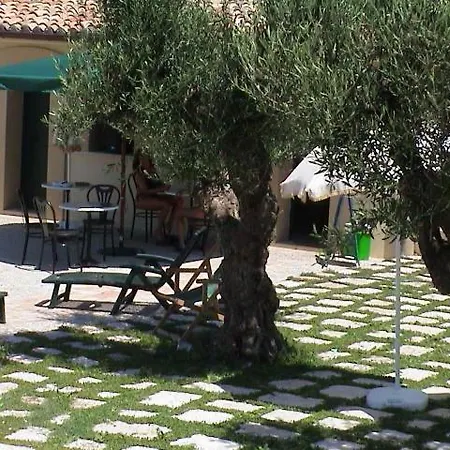 Carrera Della Regina *