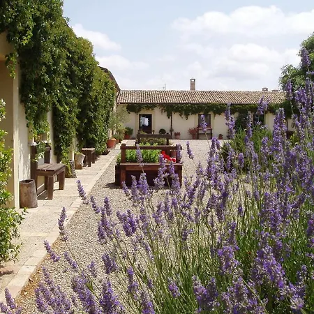 Carrera Della Regina *