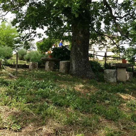 Carrera Della Regina *