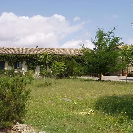 Carrera Della Regina