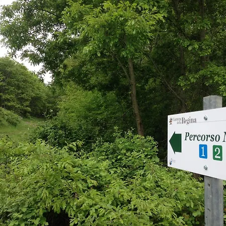 Carrera Della Regina *