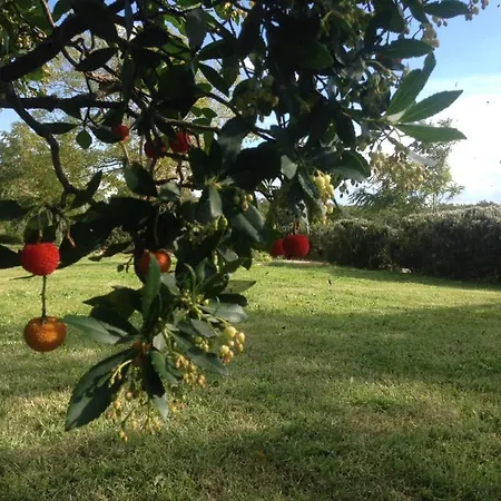Farmház Carrera Della Regina