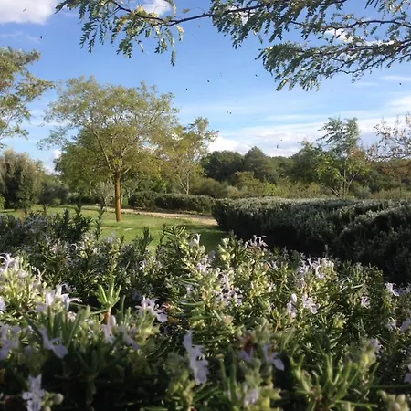 Carrera Della Regina Farmház