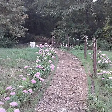 Carrera Della Regina Farmház Banzi