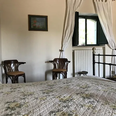 Carrera Della Regina *