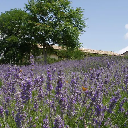 Carrera Della Regina Çiftlik konaklama Banzi
