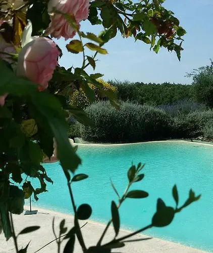 Carrera Della Regina