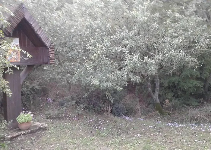 Carrera Della Regina Banzi